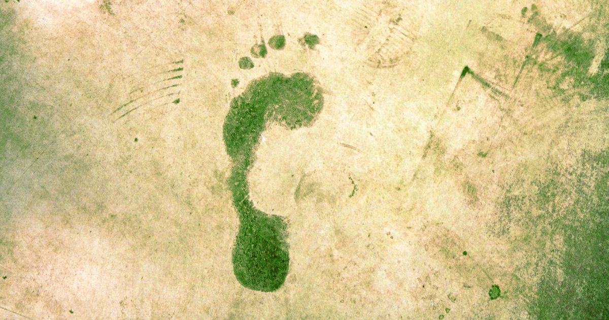 Grüner Fußabdruck auf braunem Untergrund